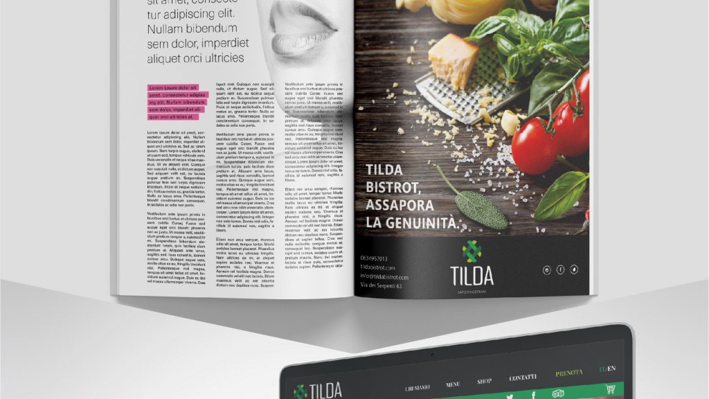 Brand Identity by Ermal Alibali